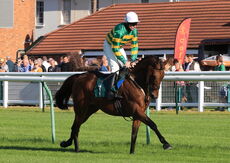 Mansionbet Handicap Chase