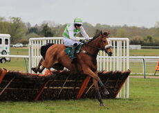 Harry Haze (Conor Ring)