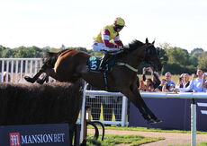 Mansionbet Handicap Chase