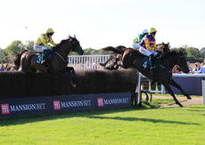 Mansionbet Handicap Chase