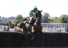Mansionbet Handicap Chase