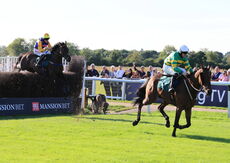 Mansionbet Handicap Chase