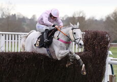 M-Tec Consulting Handicap Chase.