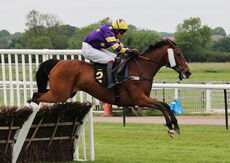 M-Tec Consulting Handicap Chase.