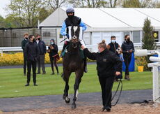 Racing TV H'cap Hurdle.Div 2