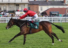 Don't Tell David (Sam Twiston-Davies)