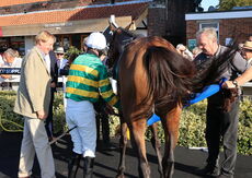 Mansionbet Handicap Chase
