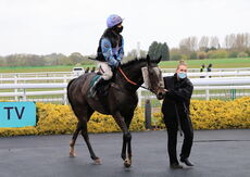 Racing TV H'cap Hurdle.Div 2