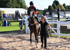 Mansionbet Handicap Hurdle.