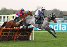 Poundland Family Fun Day Maiden Hurdle.