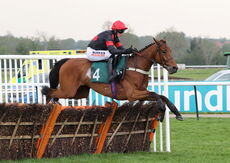 Poundland Family Fun Day Maiden Hurdle.