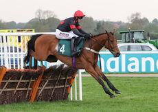 Sporting Ace (Jack Quinlan)