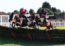 Mansionbet Handicap Hurdle.