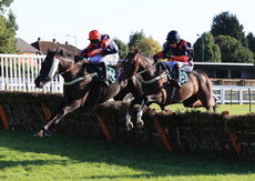 Mansionbet Handicap Hurdle.