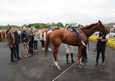 Poundland Family Fun Day Maiden Hurdle.