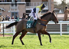 Poundland Novices' H'cap Hurdle