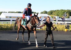 Mansionbet Handicap Hurdle.