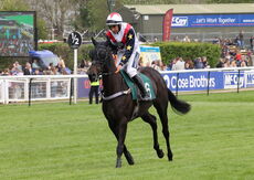 Tattersalls Ireland Mares' Maiden Hurdle