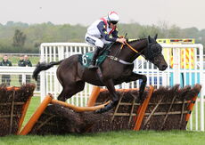Prime Time Lady (Alex Edwards)