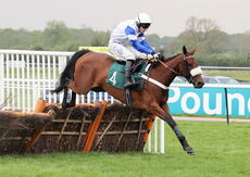 Joyful Kit (Harry Bannister)