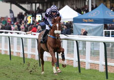 Poundland Novices' H'cap Hurdle