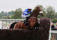 Tattersalls Ireland Mares' Maiden Hurdle