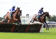 Poundland Novices" Hurdle.