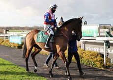 Poundland 'Mares' 'NH' Novices" Hurdle.