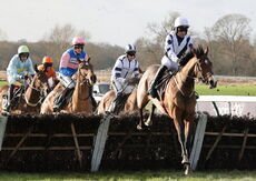 Poundland Novices" Hurdle.