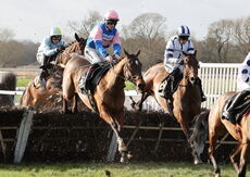 Poundland Novices" Hurdle.