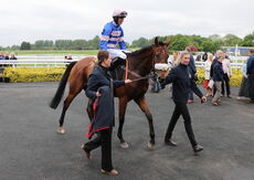 Racing TV.com Mares' H'cap Hurdle