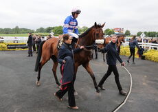 Poundland 'Mares' 'NH' Novices" Hurdle.