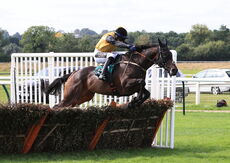 Poundland Novices" Hurdle.