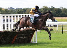 Cobblers Dream (Jonathan Burke)