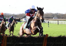 Poundland 'Mares' 'NH' Novices" Hurdle.