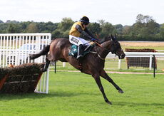 Cobblers Dream (Jonathan Burke)