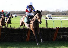 Love Envoi (Jonathan Burke)
