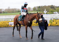 Racing TV.com Mares' H'cap Hurdle
