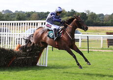 All Clenched Up (Paddy Brennan)
