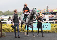 Poundland Novices H'cap Chase.