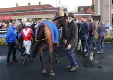 Poundland 'Mares' 'NH' Novices" Hurdle.