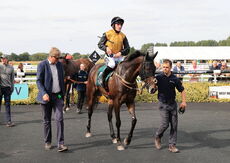 Poundland Novices" Hurdle.