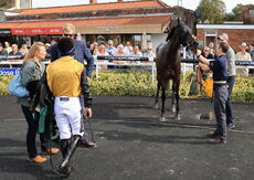 Poundland Novices" Hurdle.
