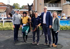 Poundland Novices" Hurdle.
