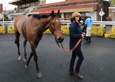 Racing TV.com Novices' Hurdle