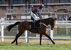 Poundland Handicap Hurdle.