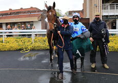 Racing TV.com Novices' Hurdle