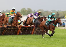 Poundland Handicap Hurdle.