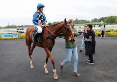 Poundland Handicap Hurdle.