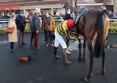 Poundland Handicap Hurdle.